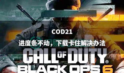 为什么使命召唤动不了[图2]