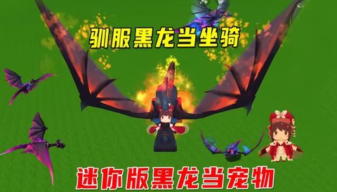 迷你世界怎么获得黑龙[图2]