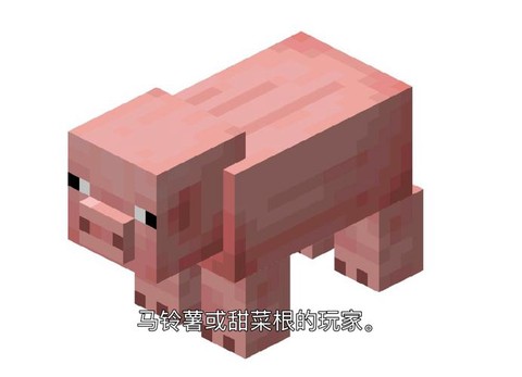 我的世界里猪吃什么[图2]